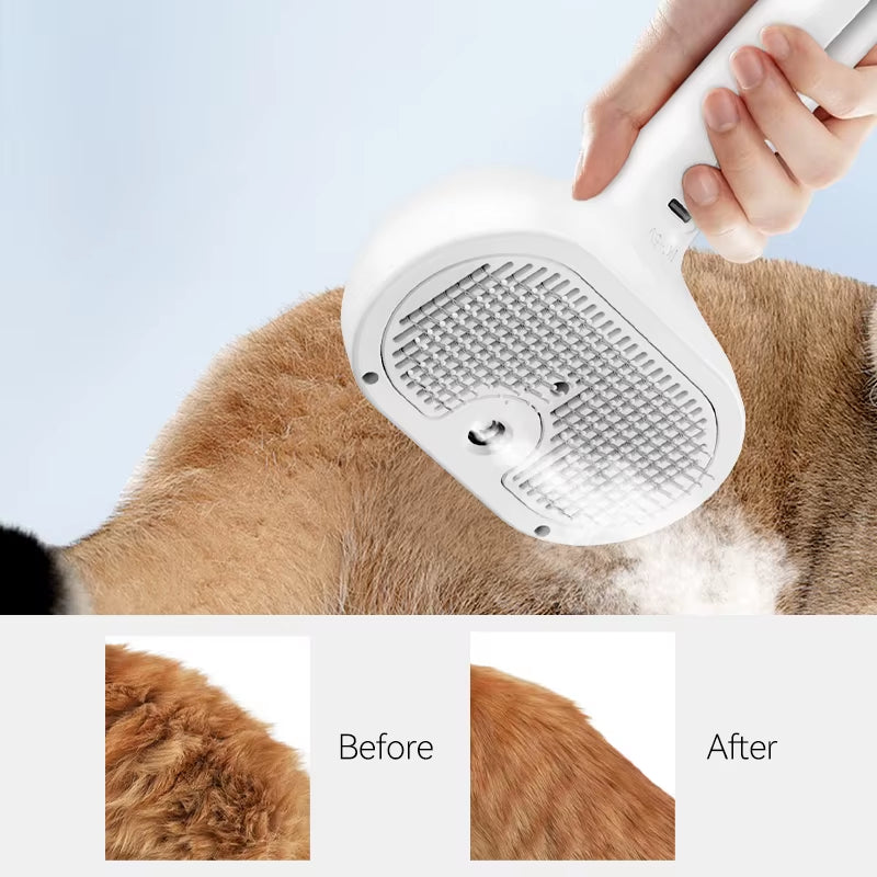 Steam Paw